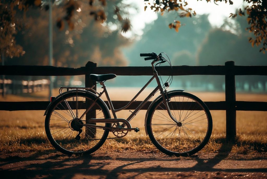 The Bicycle: The Simple Machine That Still Changes Lives 200 Years Later